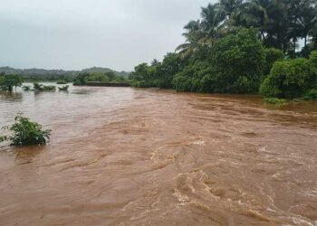 बाळगंगा नदीने ओलांडली धोक्याची पातळी