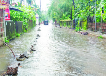 श्रीवर्धनमध्ये जनजीवन विस्कळीत