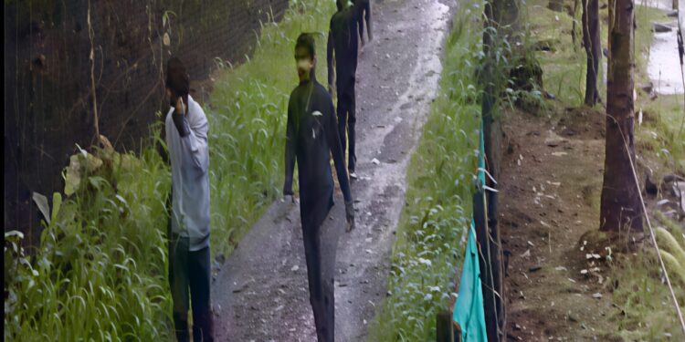 सुधागडातील दरोडेखोर अजूनही मोकाट