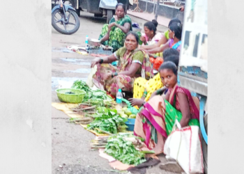 गावठी भाज्यांची आवक वाढली