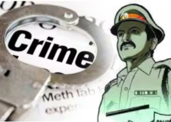 तोतया पोलिसाकडून महिलेची फसवणूक