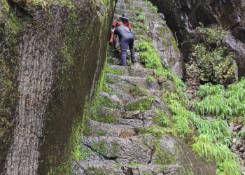 सरसगड किल्ल्यावरून पडून तरुण गंभीर जखमी 