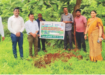 कोंडेपंचतन येथे बांबू लागवडीचा शुभारंभ