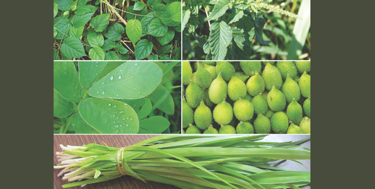 रानभाजी महोत्सवात रानभाज्यांनी घातली भुरळ