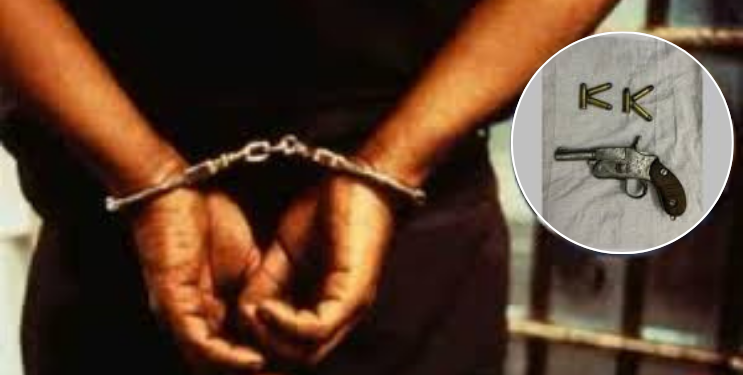 गावठी कट्टासह तीन जिवंत काडतूसे बाळगणाऱ्या त्रिकुटास अटक