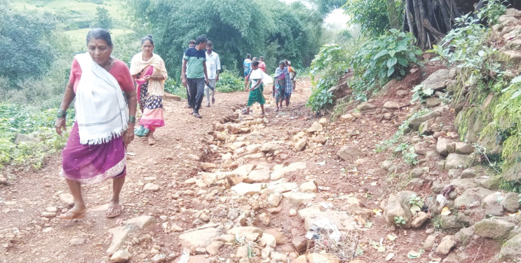 ‘या’ रस्त्याला वनखात्याचा हिरवा कंदील