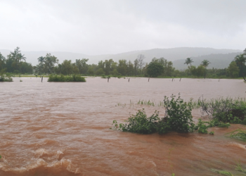 कुंडलिका, महिसदरा धोका पातळीवर