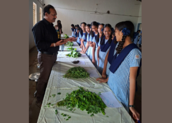 चाफेवाडीत रानभाज्या महोत्सव