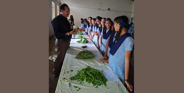 चाफेवाडीत रानभाज्या महोत्सव