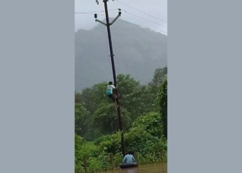 जीव धोक्यात घालून वीजपुरवठा पूर्ववत