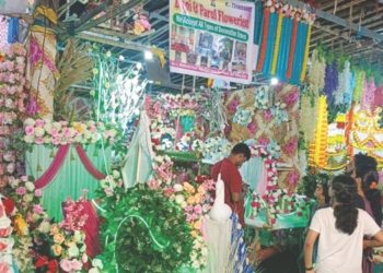 बाप्पाच्या आगमनासाठी सारेच सज्ज