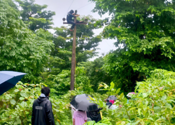 ऐन गणेशोत्सवात सुधागडमध्ये आठ तास वीजपुरवठा खंडित