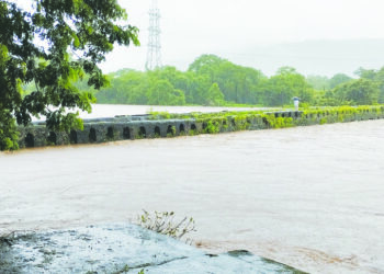 नागोठण्याला पुराचा धोका