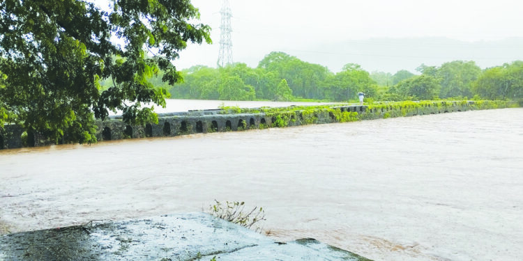 नागोठण्याला पुराचा धोका