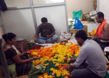 फुलांच्या सुवासात फुलले ‌‘अनारी’