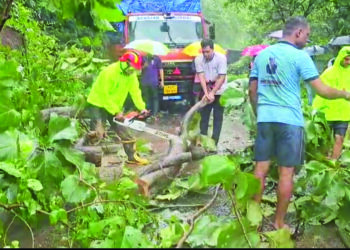 भिसे खिंडीत झाड कोसळून वाहतूक ठप्प