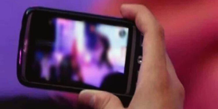 अश्लील चित्रफीत व्हायरल करणाऱ्या महिलेवर गुन्हा