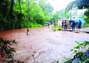 रायगड जिल्ह्यात पावसाचा कहर