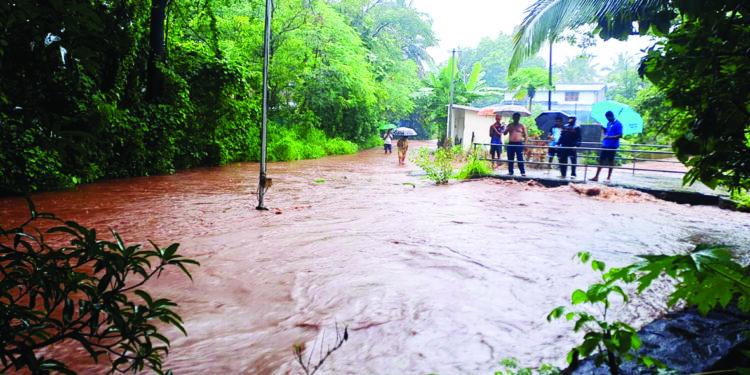 रायगड जिल्ह्यात पावसाचा कहर