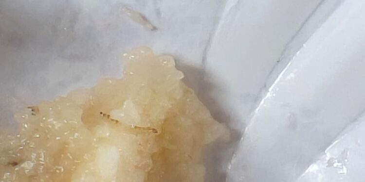 स्थलांतरित केलेल्या नागरिकांच्या नाश्त्यामध्ये अळ्या