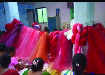 मच्छिमार महिलांना कौशल्य प्रशिक्षण