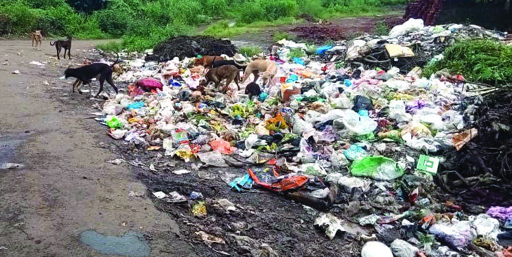 डंपिंग ग्राउंडमुळे ग्रामस्थ त्रस्त
