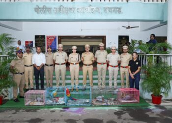 परदेशी पक्ष्यांची चोरी करणाऱ्यास अटक