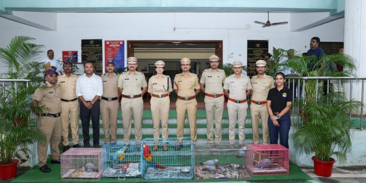 परदेशी पक्ष्यांची चोरी करणाऱ्यास अटक