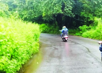 रस्त्यालगतची झाडेझुडपे अपघाताला आमंत्रण