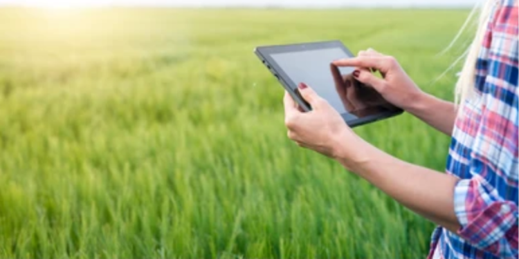 ॲग्रीस्टॅक योजना रखडली