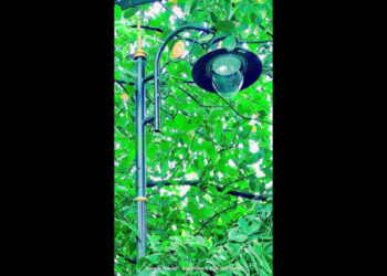 पथदिव्यांच्या खांबांमुळे वाहतूक कोंडी