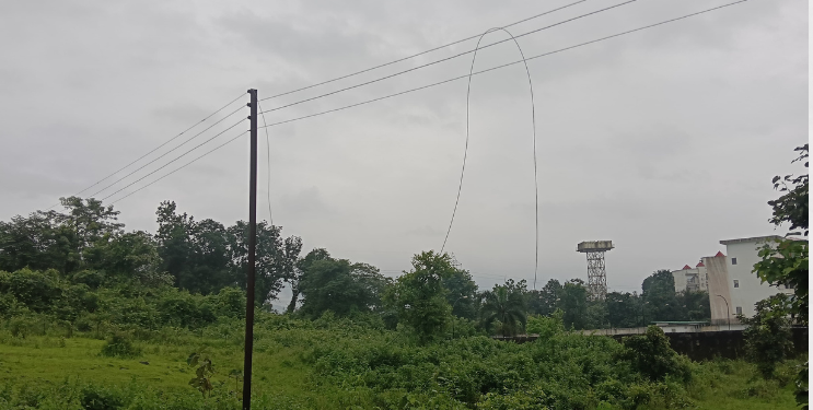 महावितरण कर्मचाऱ्यांचा हलगर्जीपणा; दुभत्या जनावरांचा मृत्यू