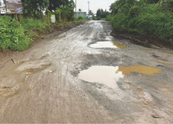 पनवेल-वलप रस्त्याची दयनीय अवस्था