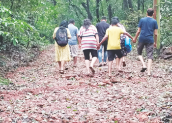 निदान चालण्यायोग्य तरी रस्ते बनवा!