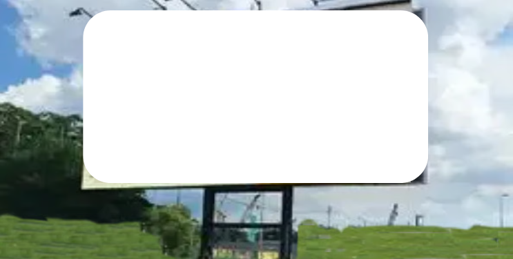 जाहिरात फलकांसाठी होणार ई-लिलाव