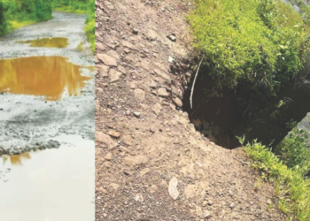 जाधववाडी-मुळशी रस्ता खड्डेमय