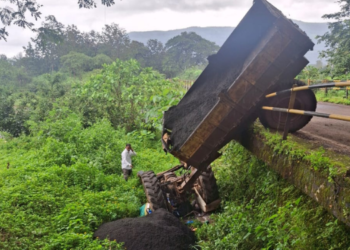 ट्रॅक्टरच्या अपघातात एकाचा मृत्यू