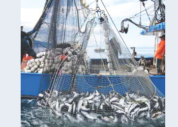 मच्छिमार सोसायटींची आर्थिक लूट