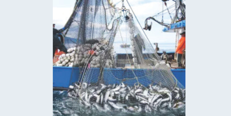 मच्छिमार सोसायटींची आर्थिक लूट