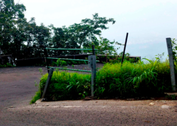 संरक्षक कठडा बांधण्याची मागणी