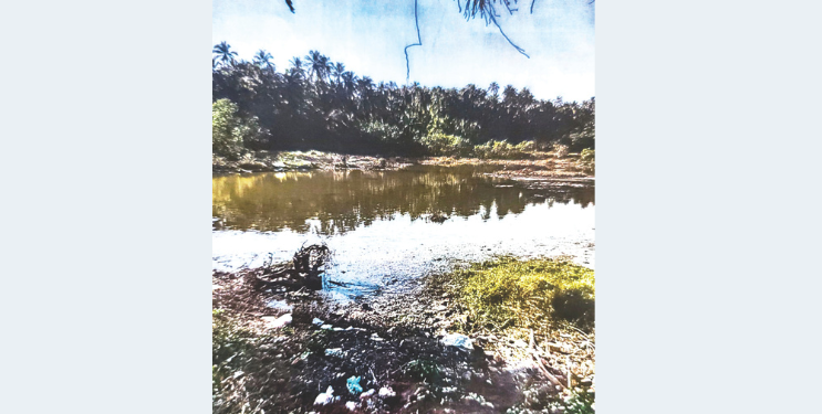 रेवदंडा-चौल परिसरात कांदळवनावर डल्ला