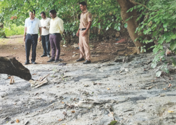 प्रदूषण मंडळाकडून दखल