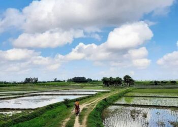 शेतकऱ्यांसाठी आनंदवार्ता! आता शेतरस्त्यांना कायदेशीर मान्यता