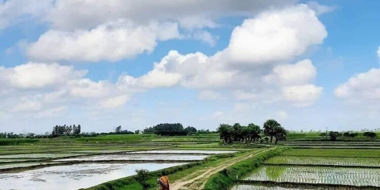 शेतकऱ्यांसाठी आनंदवार्ता! आता शेतरस्त्यांना कायदेशीर मान्यता