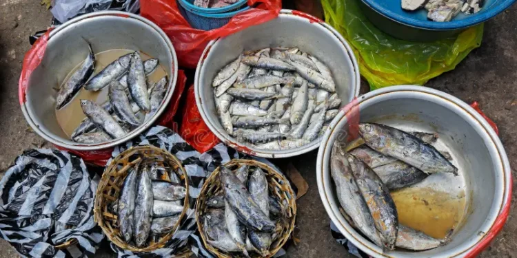 रेवदंडा मच्छीबाजारात खवय्यांची झुंबड