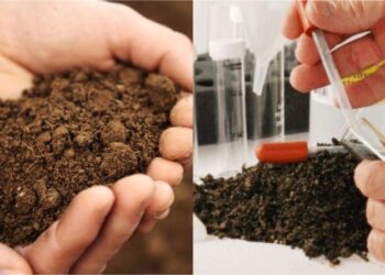 शेताच्या मातीची परीक्षा आता गावातच