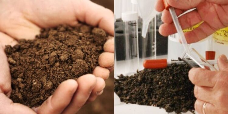 शेताच्या मातीची परीक्षा आता गावातच