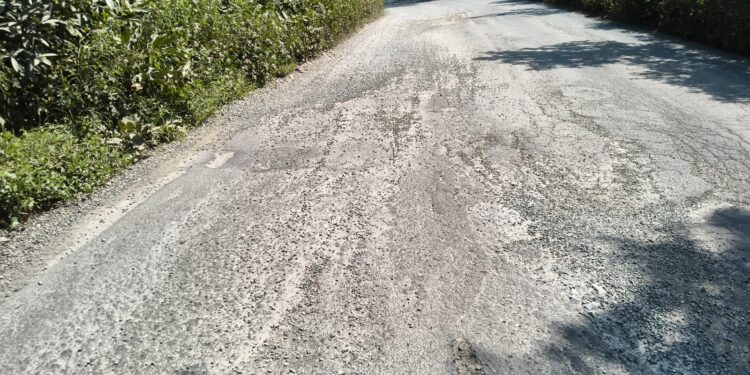 कोलाड-विले मार्गावर चालकांची कसरत