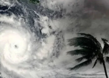 महाराष्ट्रावर ‌‘मेथी’चे संकट