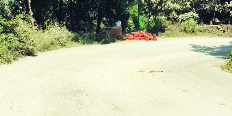 रस्त्यावरील धुळीमुळे प्रवास नकोसा